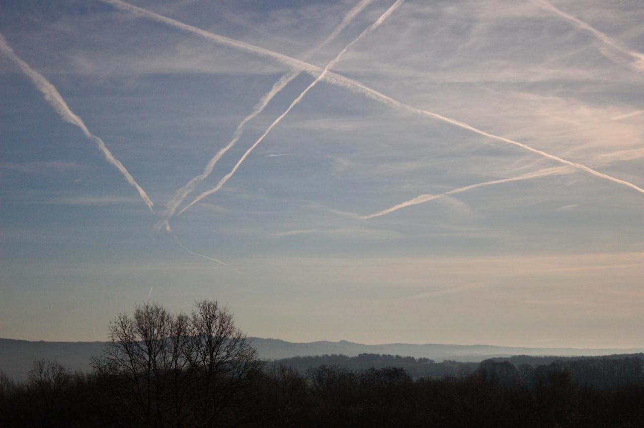 Blick Ueber Bonn Ins Siebengebirge Leilighet Eksteriør bilde